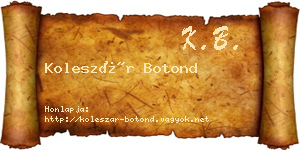 Koleszár Botond névjegykártya